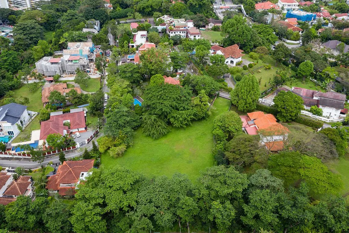 Buoyant times for luxury homes in safe-haven Singapore