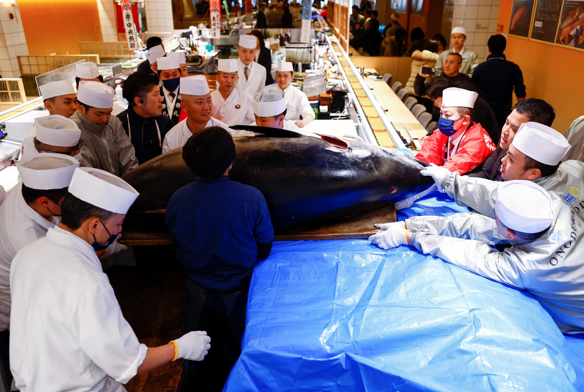 Buyer splashes out 207m yen for Tokyo new-year tuna - The Business Times