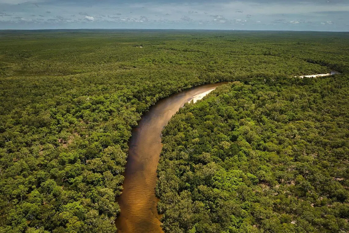 Since 2023, Louis Vuitton has partnered with People For Wildlife in Australia to support biodiversity restoration across a 400,000-hectare landscape.