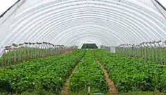 The tender for all five land parcels – which have a 20-year lease period, with the option to extend for 10 years – will close at noon on Dec 7, 2023.