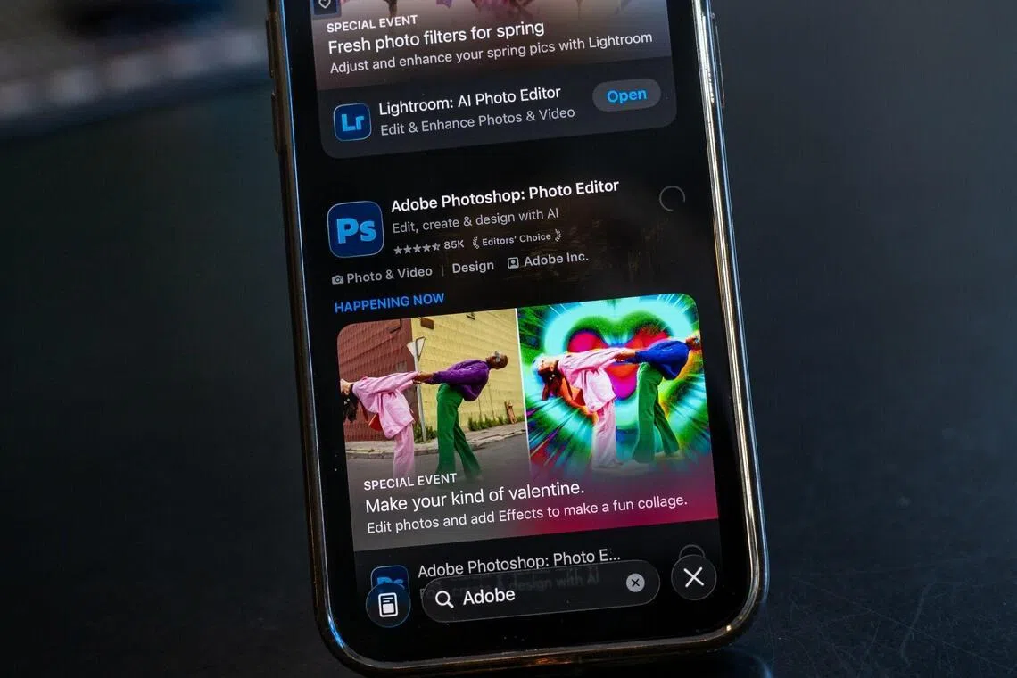 The maker of Photoshop and other products for creative arts professionals is among a group of application software companies seen as struggling to win new customers in the face of AI upstarts. 