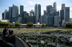Singapore is making headway in its quest to source carbon credits from its partners around the world.