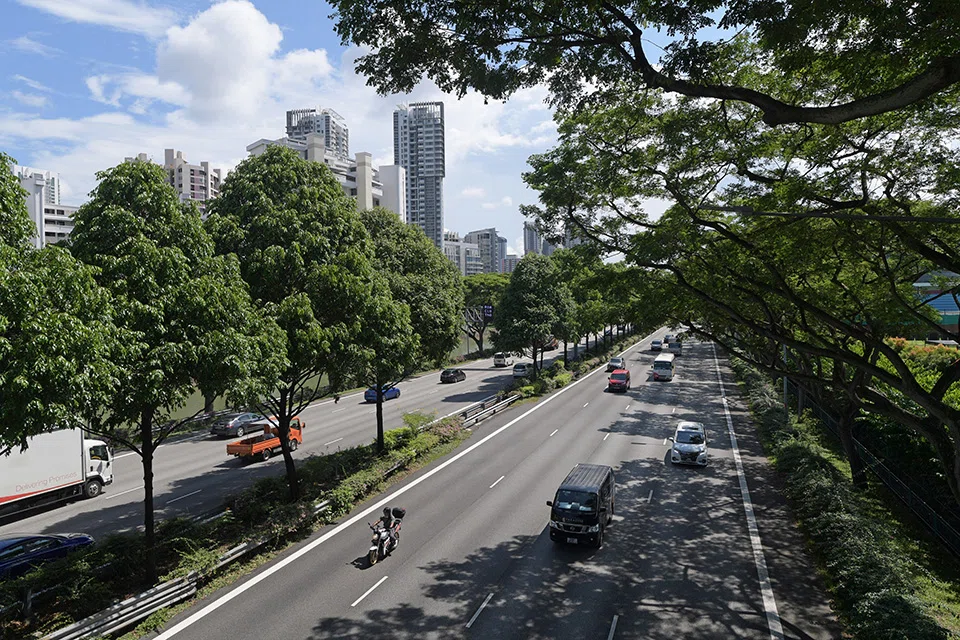 The motor segment reported the largest increase in claims to S$573.4 million as traffic accidents rose.