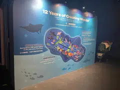 For its anniversary, SEA Aquarium has introduced specially curated zones that celebrate its impact on marine education, conservation and appreciation. 