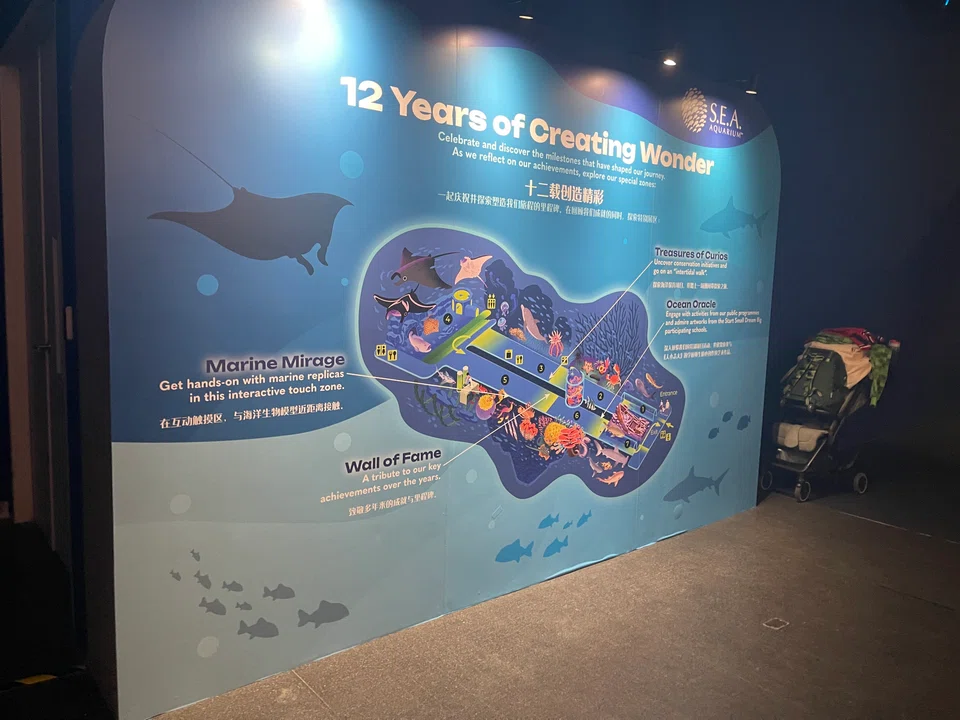 For its anniversary, SEA Aquarium has introduced specially curated zones that celebrate its impact on marine education, conservation and appreciation. 