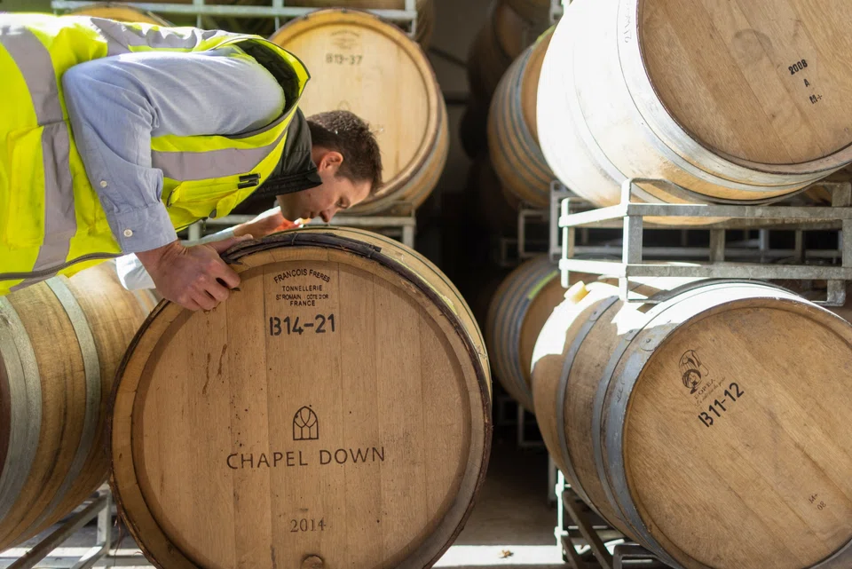 Chapel Down plans to invest in new vineyards, build a new winery in time for the 2026 harvest and develop its base in Tenterden, England.