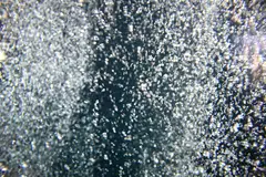 Recognising a bubble requires spotting an asset or asset class that is objectively overvalued before everyone else does.