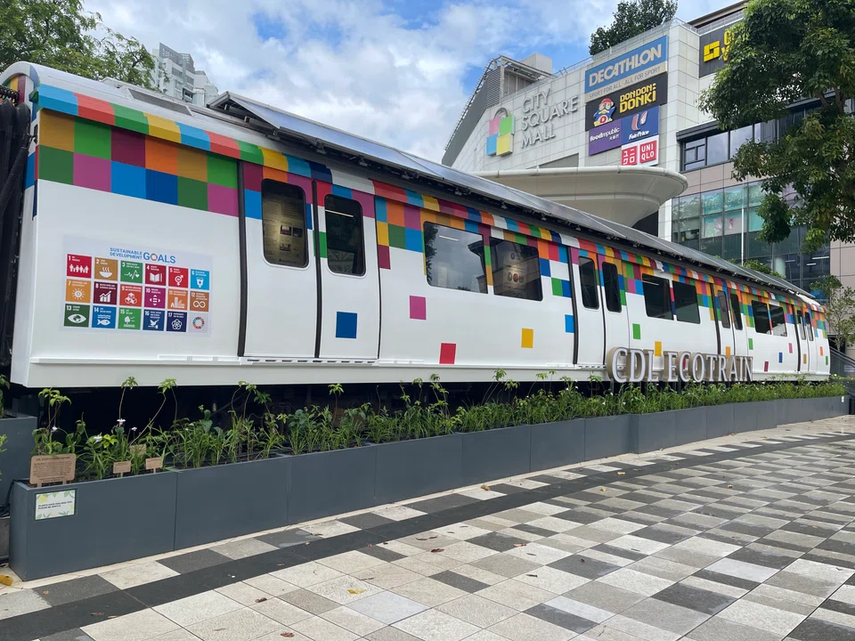 At the EcoTrain, children and young people can play a game to learn more about rainforests.
