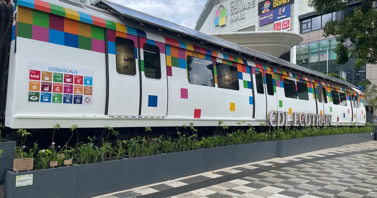 CDL's EcoTrain, MicroForest boost climate education efforts for the ...