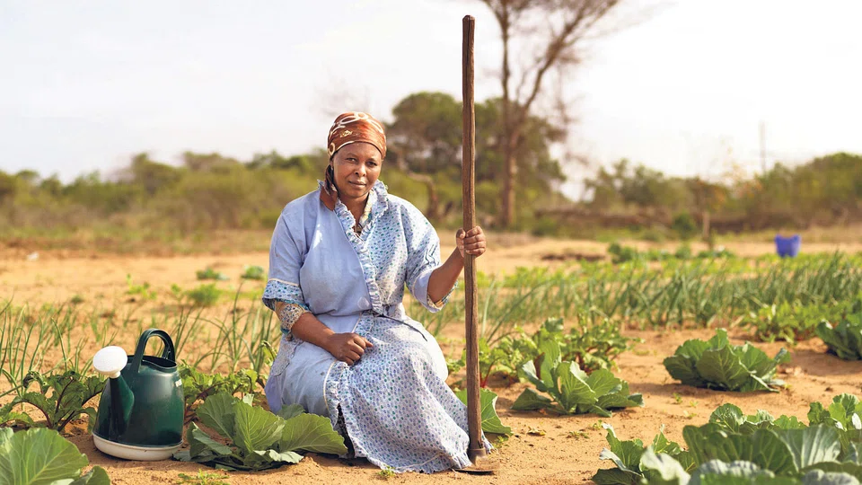 Based on figures provided by JLL Singapore on Wednesday (Jun 29), Grade A CBD office rents rose 2.7 per cent to S$10.74 psf per month in the latest quarter from S$10.46 in Q1 2022.