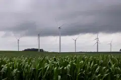 Within a broad theme such as climate, GIC sees opportunities in electrification, energy efficiency and climate adaptation.