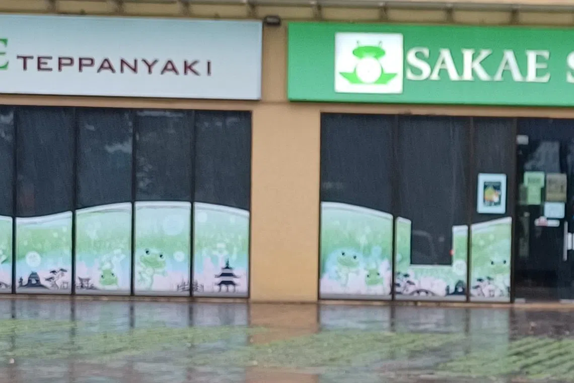 Sakae Holdings offers corporate advisory services and Japanese cuisine.