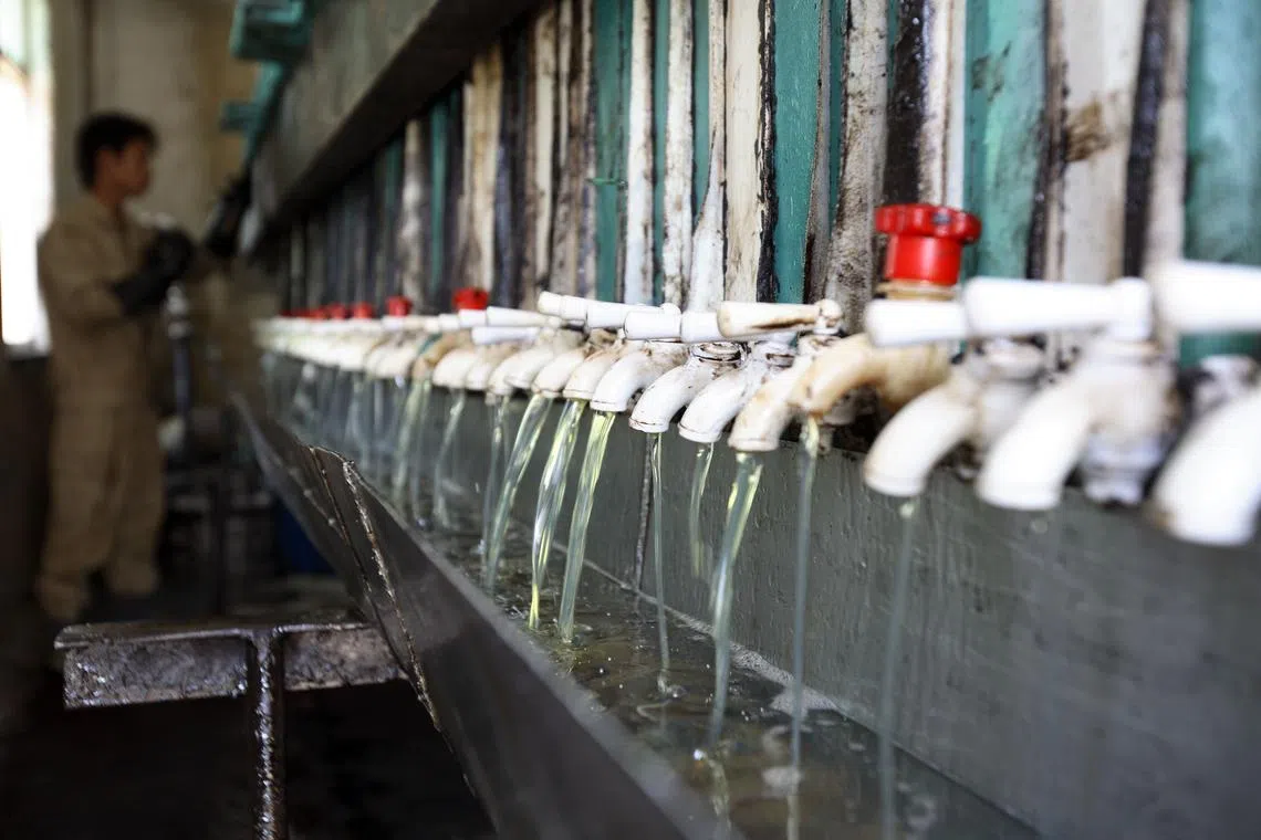 Under an EPA June proposal, renewable diesel made from imported ingredients will be granted only half the credits given to biofuel produced from domestic feedstocks.