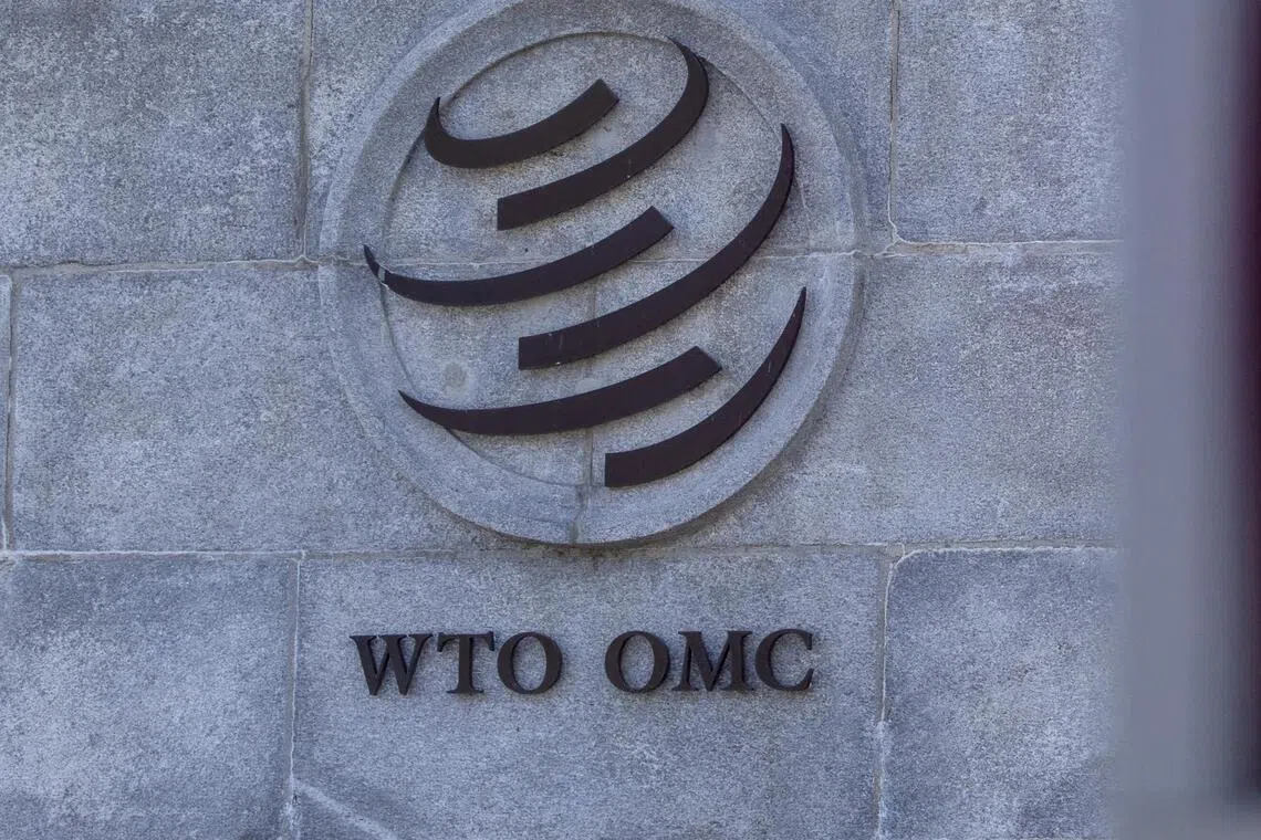 By raising tariffs above the limits set in WTO agreements, the Trump administration has injected enormous uncertainty into the global trading system.