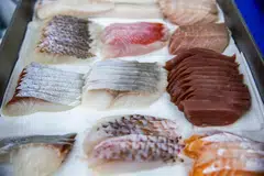 The re-imposition is a painful blow for firms eager to return to Chinese market once over a fifth of Japan’s seafood exports.