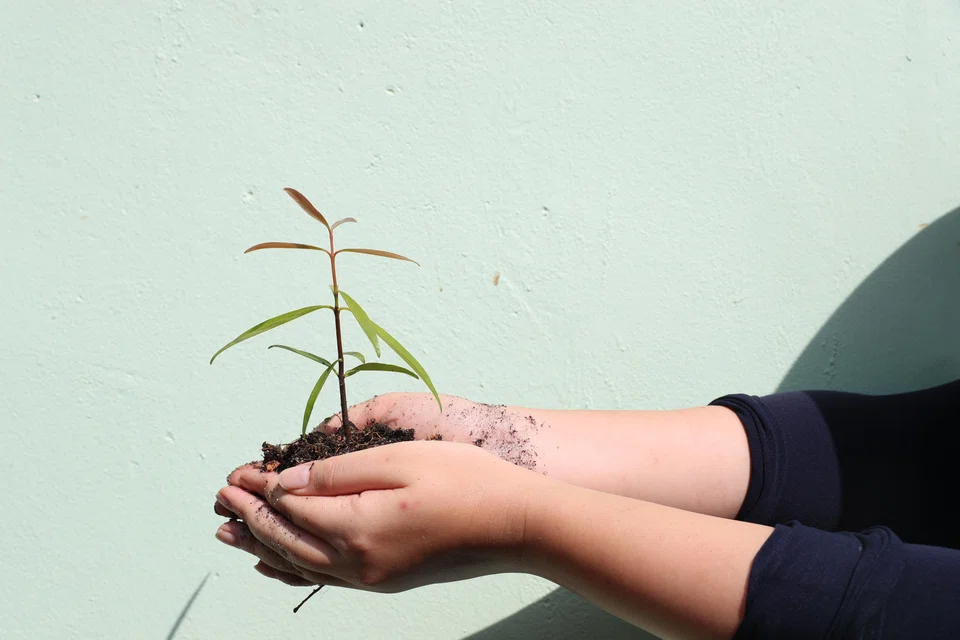 CIX has called the move "a critical step in building high-integrity carbon markets".