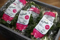 The writer argues that in order for Singapore's resilience plan to succeed, there must be a push to encourage customers to purchase locally grown produce. 