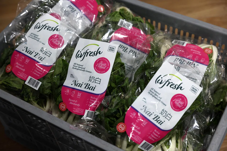 The writer argues that in order for Singapore's resilience plan to succeed, there must be a push to encourage customers to purchase locally grown produce. 