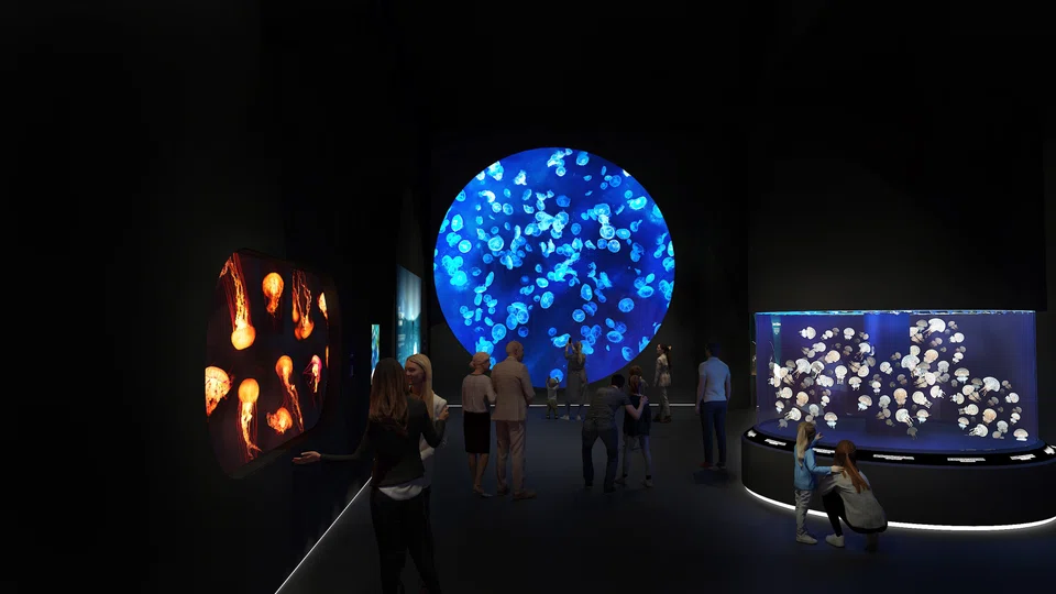 Previously known as the SEA Aquarium, Singapore Oceanarium will be three times larger and mark the transition into an aquarium-based conservation institution.