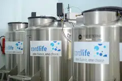 The arrests of Cordlife's directors and group chief executive are related to alleged breaches-of-disclosure obligations regarding its storage tanks' exposure to  irregular temperatures.   