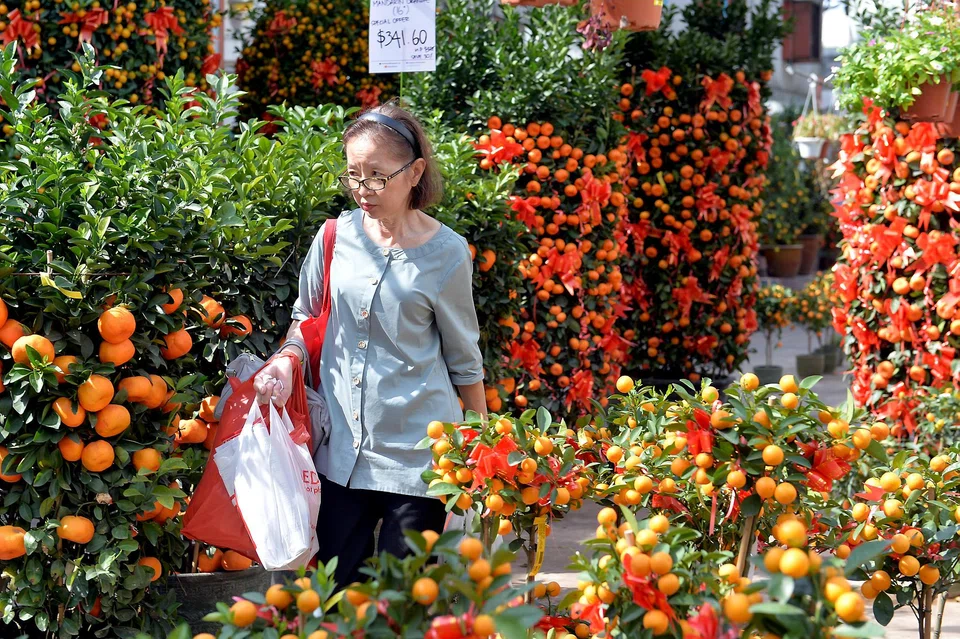 Plants symbolising prosperity or good fortune, such as kumquat plants, are especially popular during Chinese New Year.