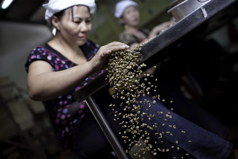 Workers sort through green robusta coffee beans for defects that cannot be removed mechanically, at a processing plant in Ho Chi Minh City, Vietnam.