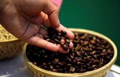 Vietnam accounts for about a third of the world’s supply of robusta beans, which are typically used for instant drinks and espresso coffee.