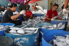 It will allow state lenders to fully write off bad debts of certain micro, small, and medium enterprises which are major contributors to Indonesia’s GDP.