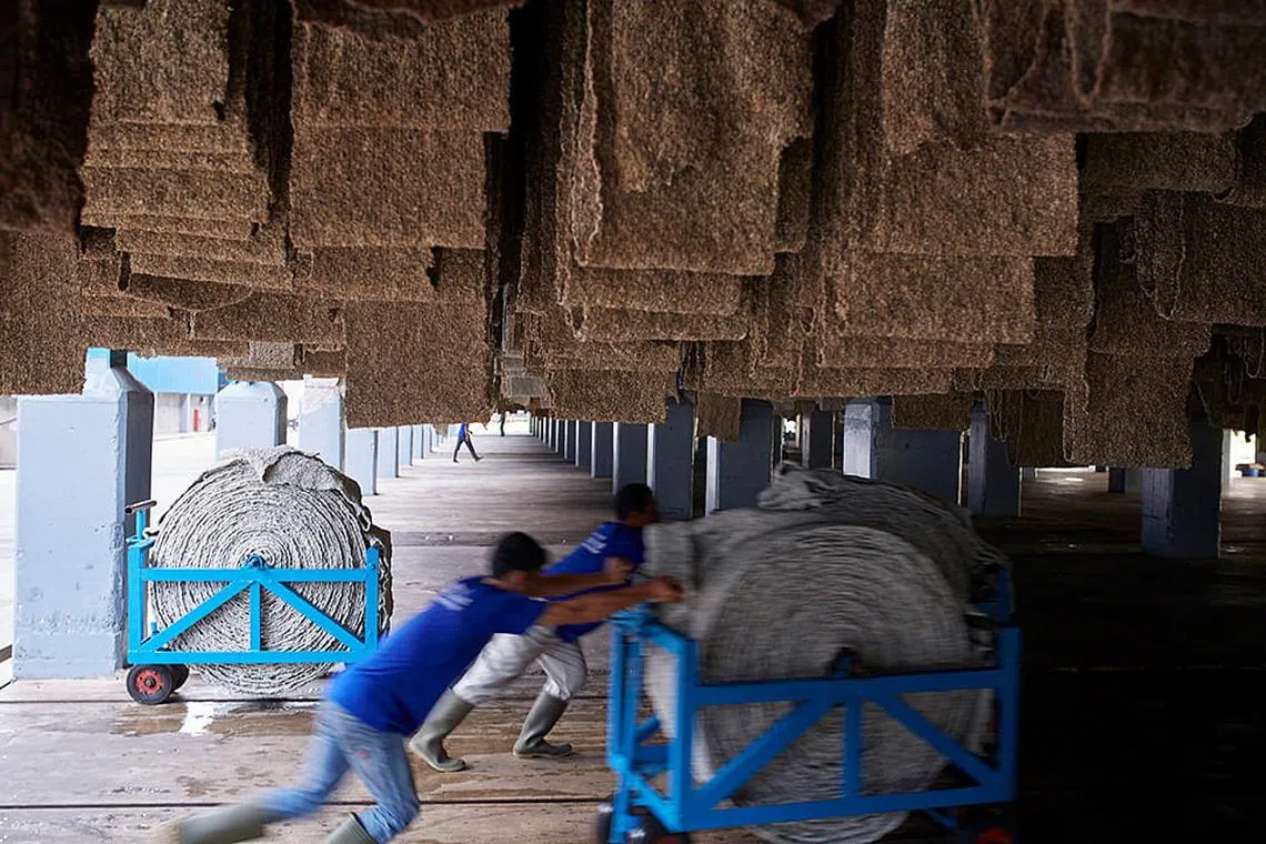 Asian businesses step up to ESG reckoning