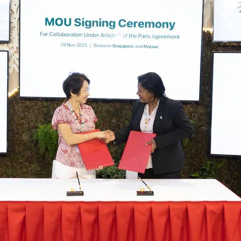 S’pore, Malawi sign carbon credits agreement