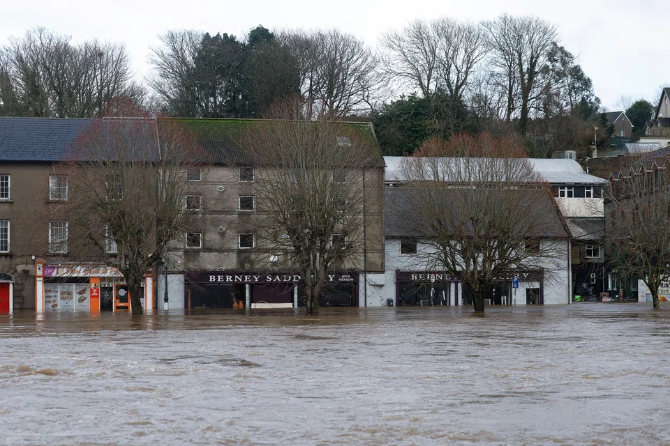 Nongovernmental organisations and scientists have long argued that defending nature and biodiversity is a way for companies to protect themselves from risks like extreme heat and flooding.