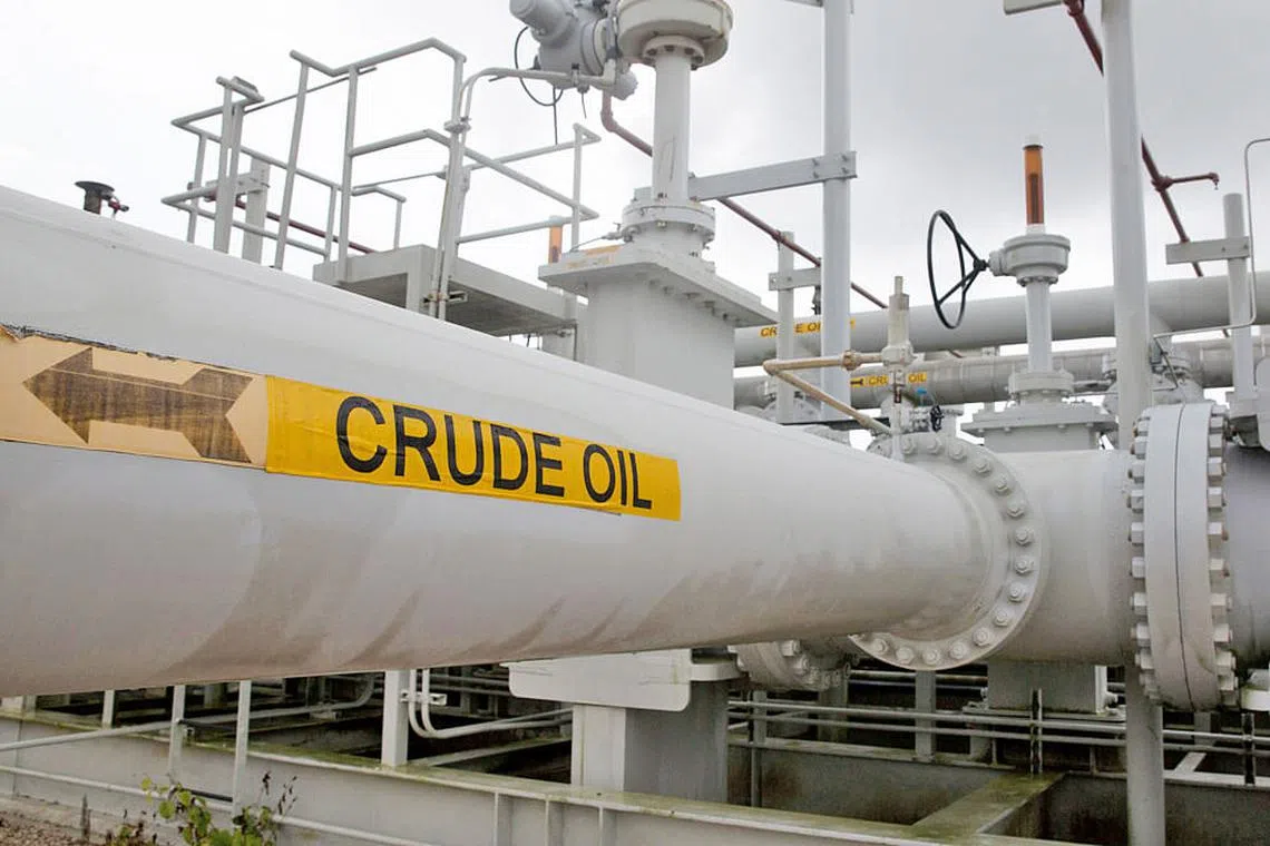 Expect a roller-coaster ride in 2019