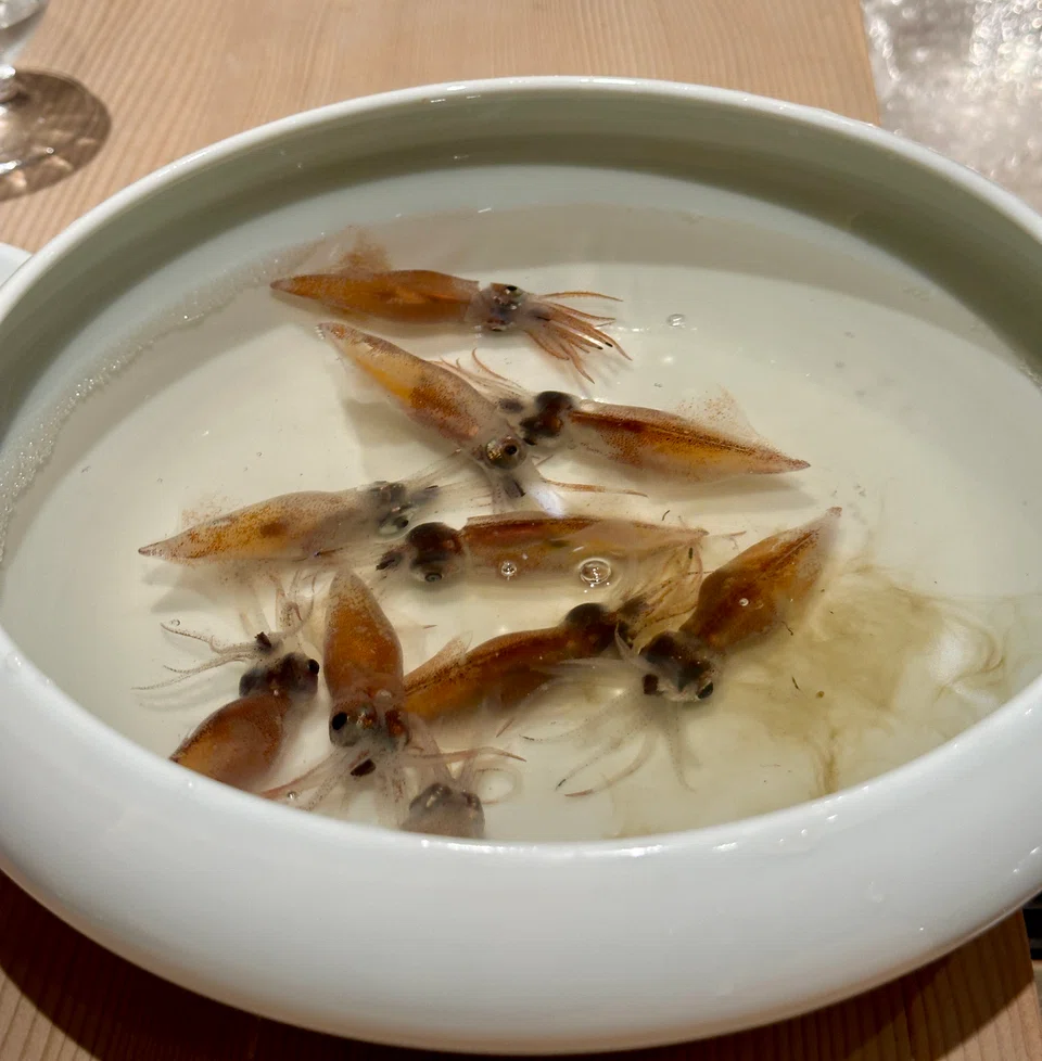 Live firefly squid is served at Nenjiritei.
