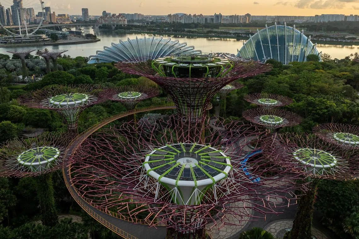 Gardens by the Bay's newly expanded system generates clean, renewable energy to power part of the park’s operations, in a move towards a more sustainable and greener future.