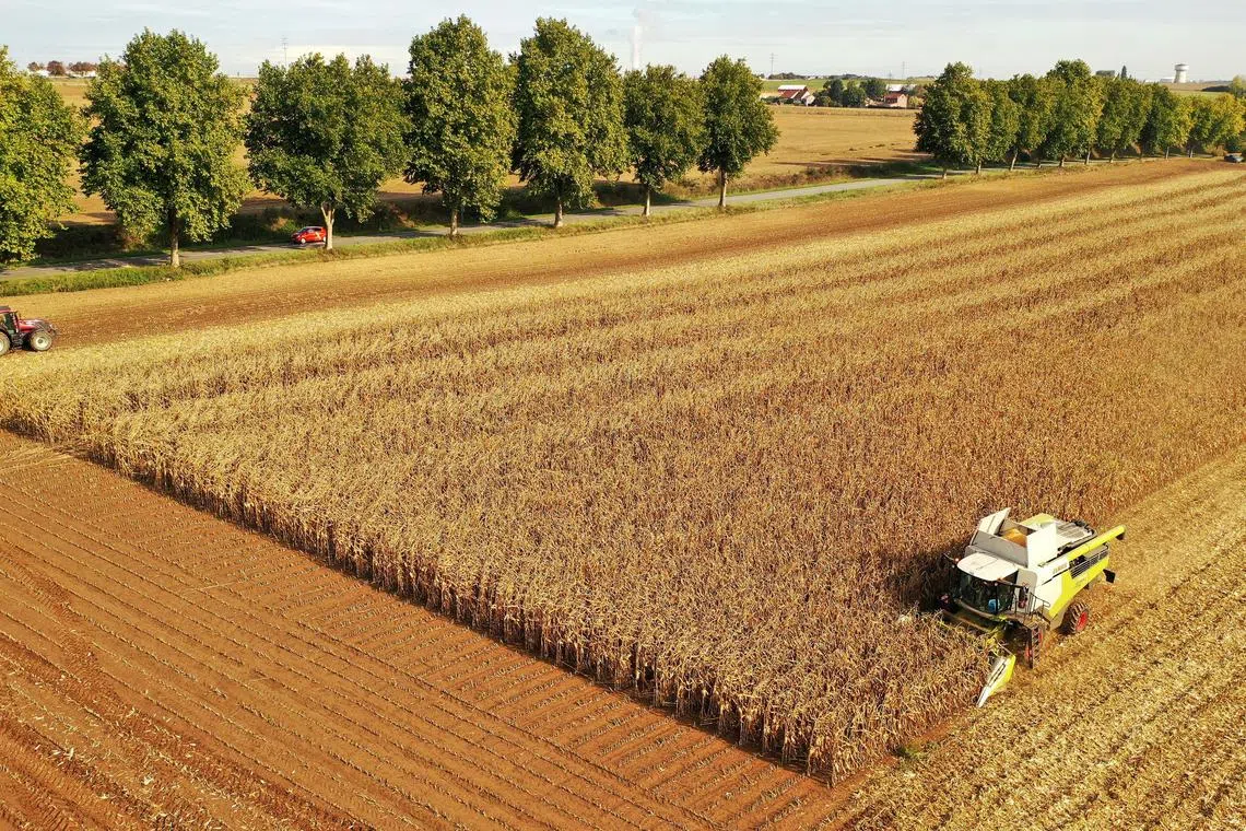 The report also warned the water crisis could lead to an eight per cent drop in GDP on average for high-income countries by 2050 and as much as 15 per cent for lower-income countries.