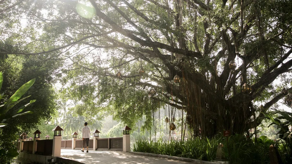 Banyan Tree manages hotels in China and other parts of the world.