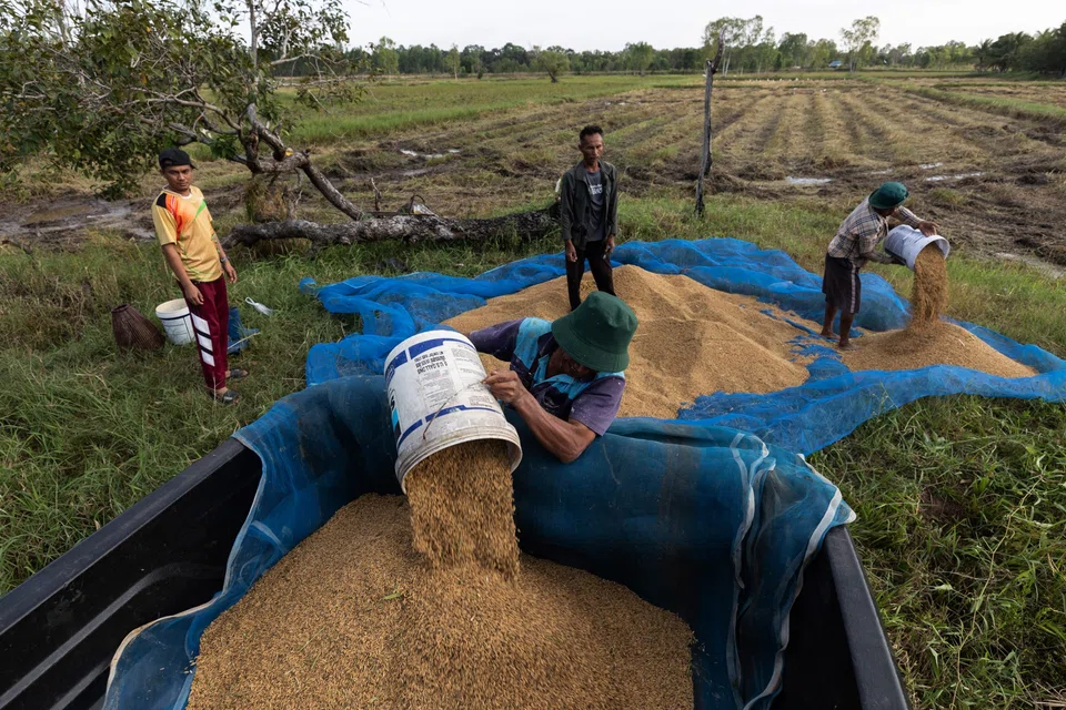Thai rice shipments expected to decline by 15 per cent this year, exporters say.