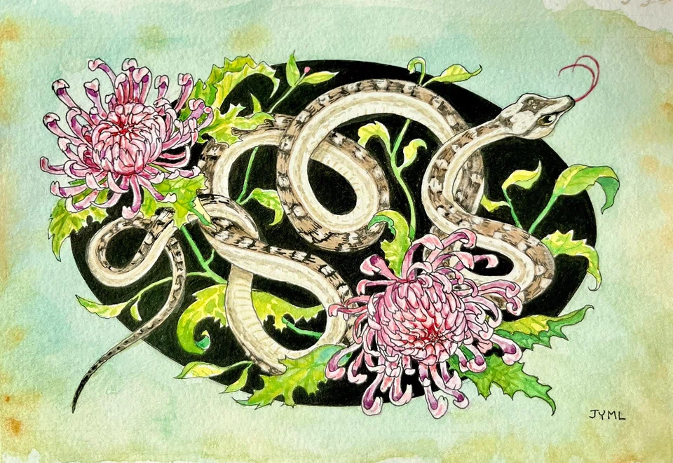 Juliette Yu-Ming Lizeray employs a variety of painting styles to bring Singapore snakes to vivid life. 