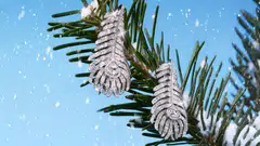 Plume de Paon pendant earrings in white gold with diamonds (S$165,000).