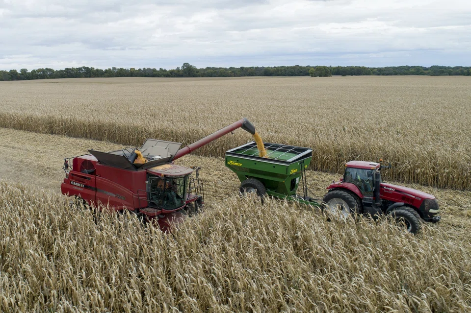 China’s measures hit goods the Asian nation can source from other countries, shielding the domestic economy from blowback.