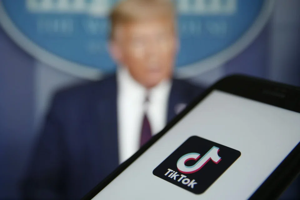 US President-elect Donald Trump, who has suggested publicly that he thinks a TikTok ban is a bad idea, could try to thwart a law signed by President Joe Biden.