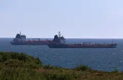 The licence issued by Washington authorises the delivery and sale of Russian crude oil and petroleum products loaded on vessels on or before Mar 12.