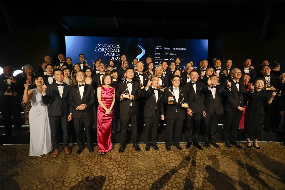 The 20th Singapore Corporate Awards (SCA) saw 26 companies and six individuals emerge as winners across seven award categories. TAY CHU YI, BT