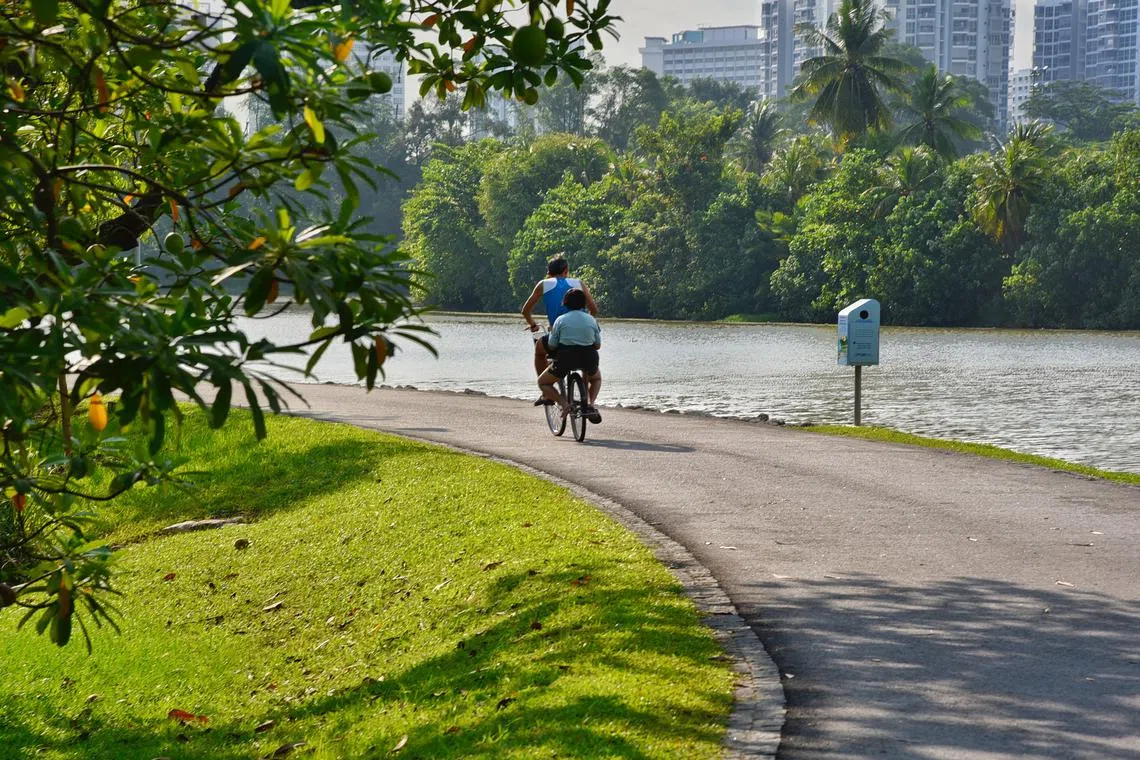 Our priority must be to deliver environmental commitments that incorporate energy security as well as economic and social equity and quality. 