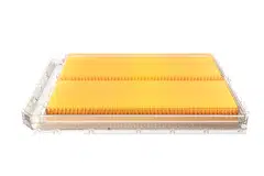 Zeekr’s upgraded lithium iron phosphate battery.