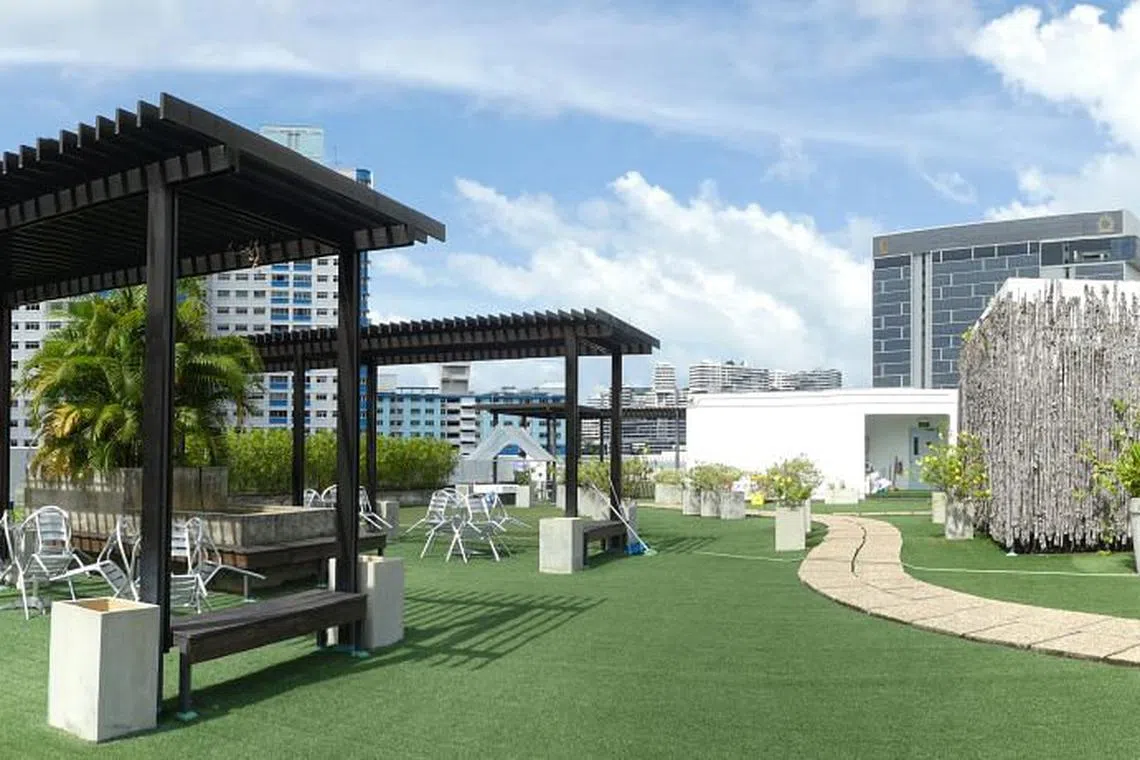 Committed to cooling the Earth