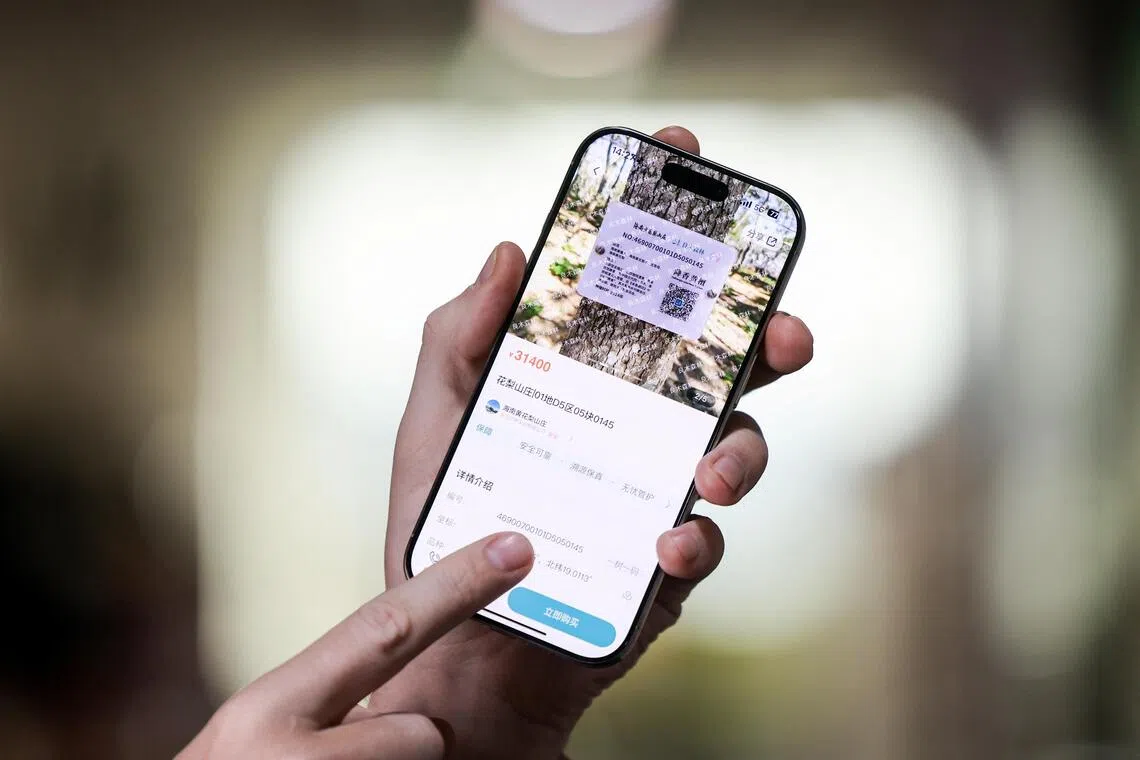 Chinese goods from prized trees to fine tea and expensive baijiu liquor are now being turned into digital assets that can be traded online.
