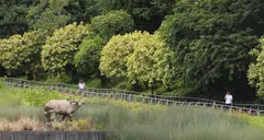 Sustainability is no longer just a buzzword, but a strategic priority for corporate Singapore.