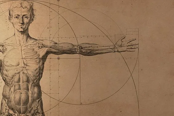 Mankind has moved from linking computers in the first phase of the Internet to linking everyday objects. In the next phase, global information systems would be hooked up to human organs. 