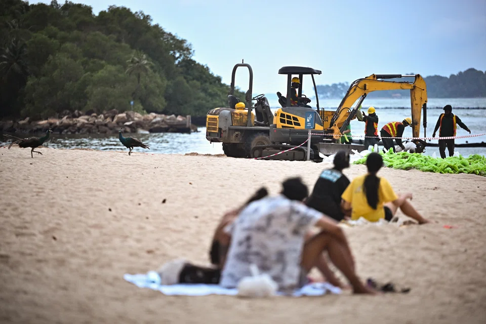Visitors are gradually returning to the beaches as recovery efforts following the oil spill make progress, says Minister for Sustainability and the Environment Grace Fu. 